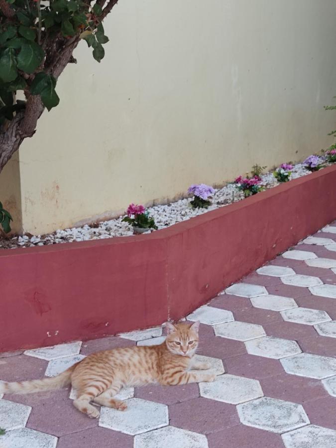 Hotel Takis Agios Georgios  Luaran gambar